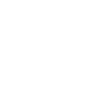 Somerset Patriots NY Black Yankees Baseball Club Wordmark White